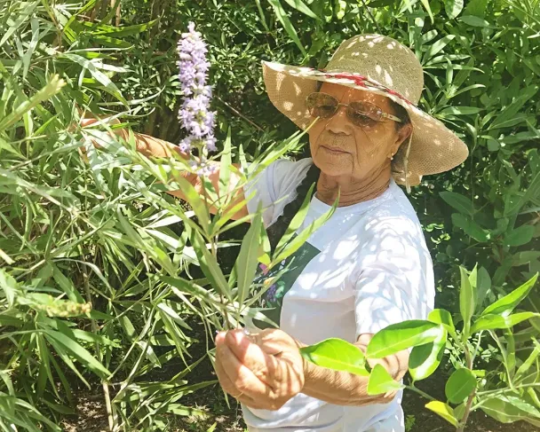 Marilene entre as plantas