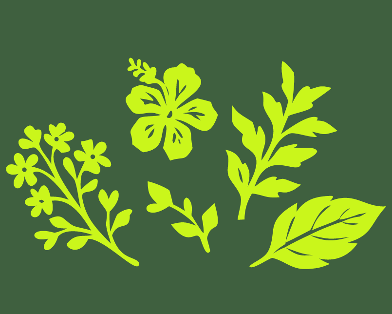 Ícone Faça um passeio pelo nosso cantinho das plantas