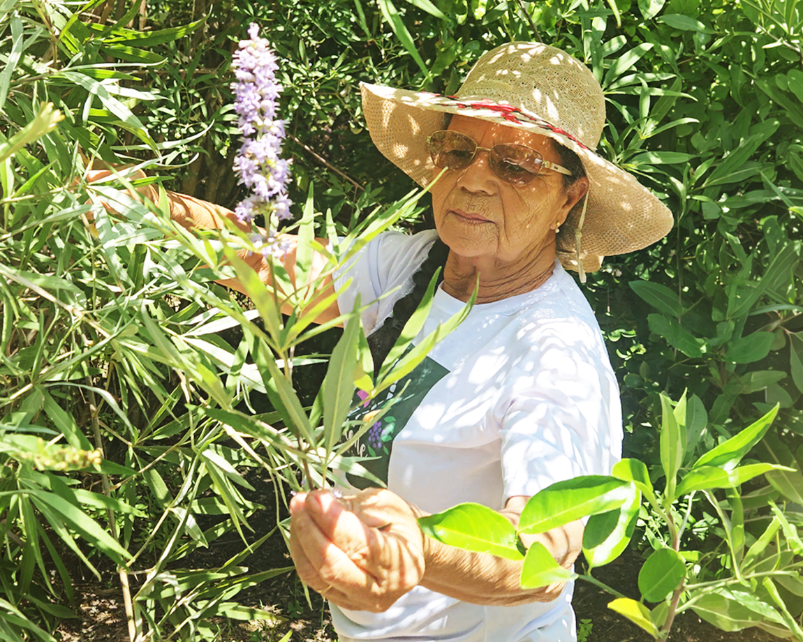 Marilene entre as plantas